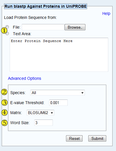blastp search options