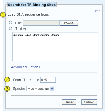 dna search options