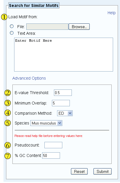 motif search options